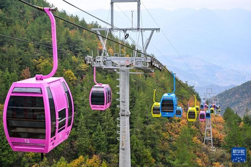 重慶巫山初冬美景引客來，旅行社服務網點積極招徠